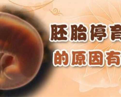 江西省内靠谱的代怀生子服务机构