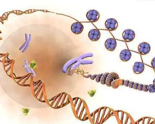 江西省人类精子库:辅助生殖技术与专家团队的卓越典范
