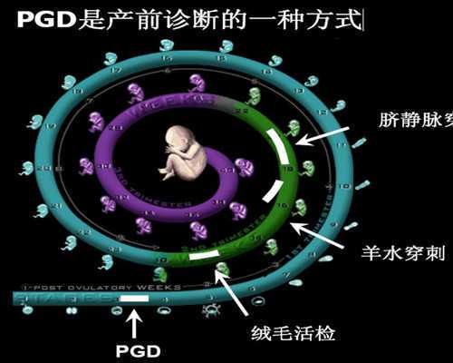 江西生二胎找供卵,2026江西做试管婴儿有补贴吗 江西做试管婴儿最新补贴政策