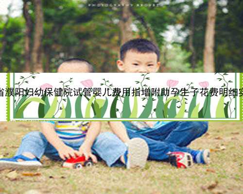 2023河南省濮阳妇幼保健院试管婴儿费用指增附助孕生子花费明细实例参考表